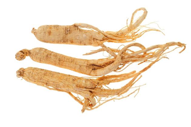 Top Quality  ginseng extract