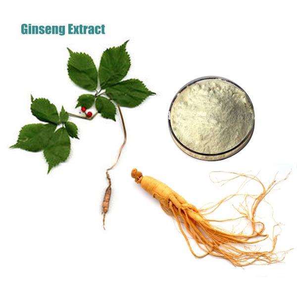 Natural Ginseng EXTRACT for Daily Products