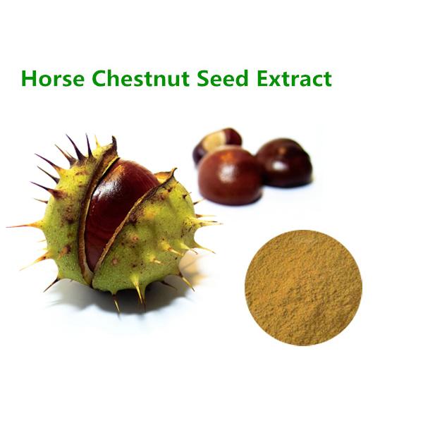 High Quality Horse Chestnut Extract 