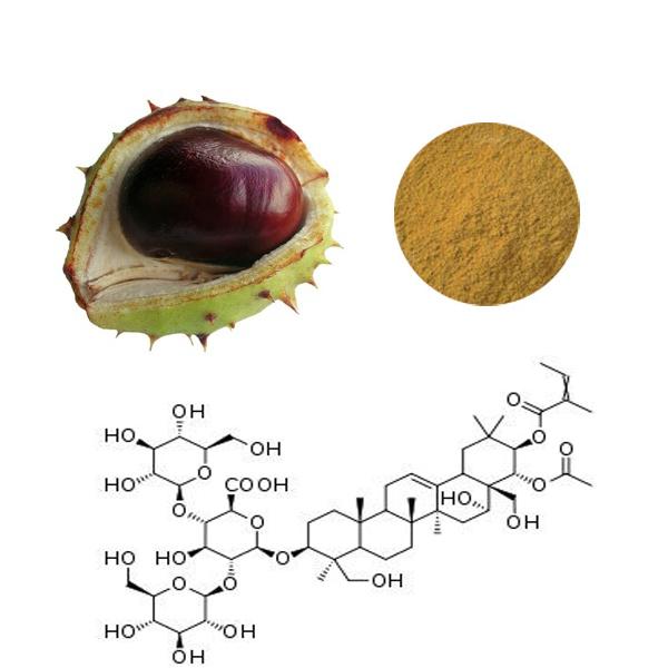 Experienced Manufactory Supply Sufficient Wild Horse Chestnut Extract