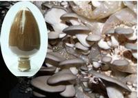 High purity pleurotus ostreatus polysaccharides No dextrin or any other materials added