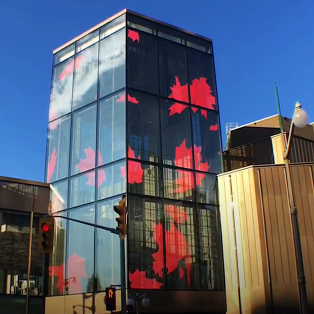 360 Degree LED Video Display Flexible