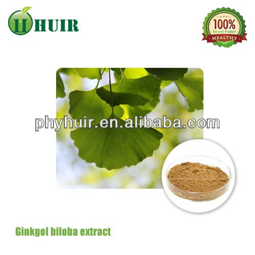 stable supply Gingko Biloba P.E.