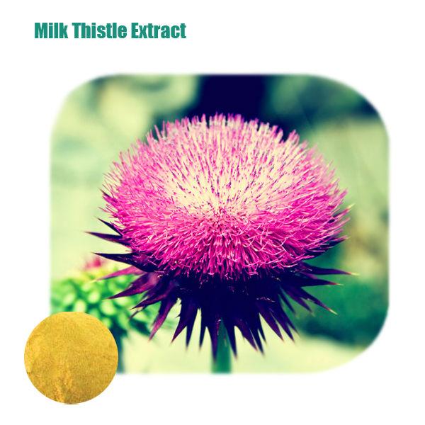 Best Quality Factory Supply Milk Thistle Extract