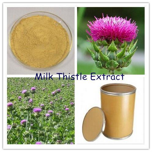 Huir Tonking Supply High Quality Milk Thistle Extract