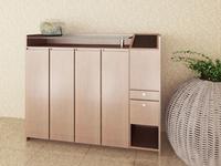  multi-function shoe cabinet 
