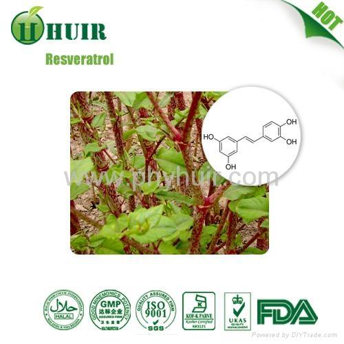 Resveratrol From Polygonum Cuspidatum Root Extract