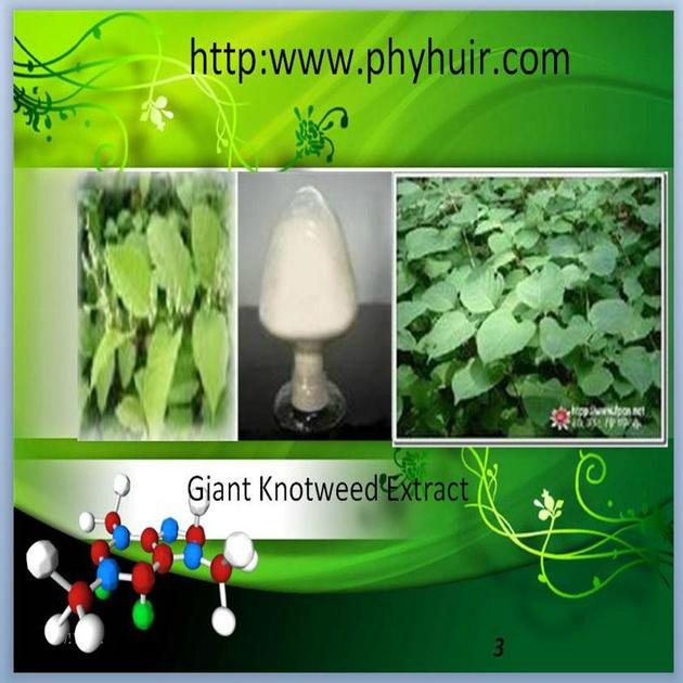 Huir Supply High Quality Resveratrol Bulk Powder with Best Price
