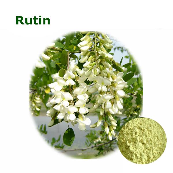 Supply Pure Rutin P.E