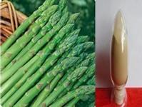 High purity Asparagus polysaccharide No dextrin or any other materials added