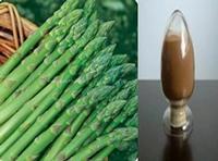 High purity Asparagus Saponins No dextrin or any other materials added