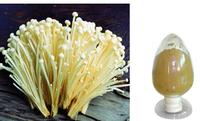 High purity Flammulina Velutipes  polysaccharides No dextrin or any other materials added