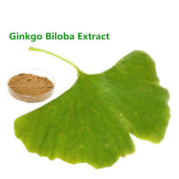 Natural Bulk Ginkgo Biloba Extract