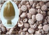 High purity lentinus edodes extract-No dextrin or any other materials added