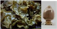 High purity Auricularia auricula-judae polysaccharides