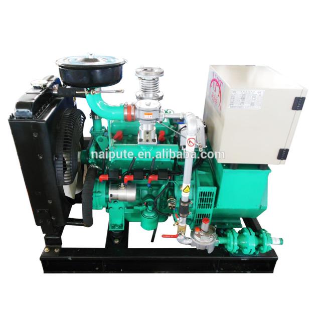 10kw to 500kw Biogas Generator