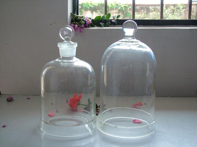 Specimen Jar Alcohol Lamp Mortar Filtering