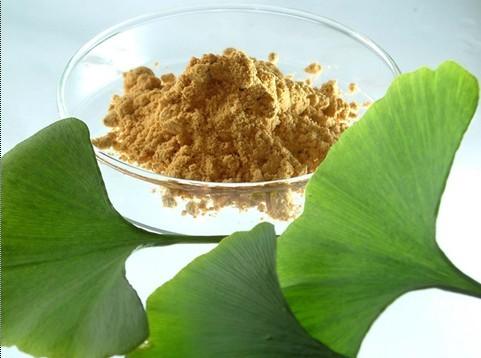 Ginkgo biloba leaf extract powder
