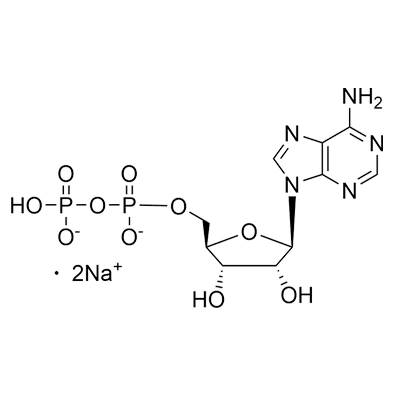 ADP·Free Acid Cas No. 58-64-0