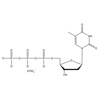 dTTP·4NH4