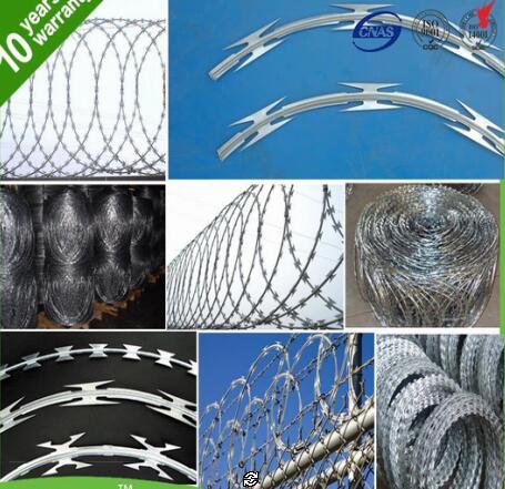 galvanized /pvc coated surface treatment cross razor mesh rozar barbed wire