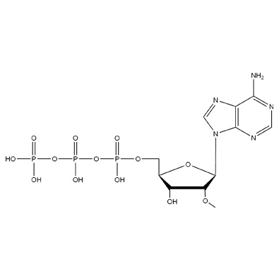2'-OMe-NTP