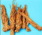 Astragalus Membranaceus(fisch)Bge Extract