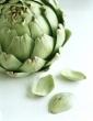 Artichoke extract