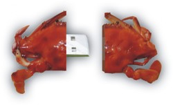 Usb flash disk