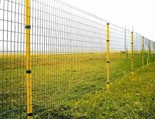Euro Fence