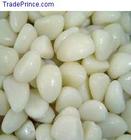Garlic Extract