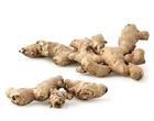 Ginger Extract