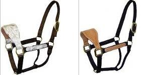horse halter
