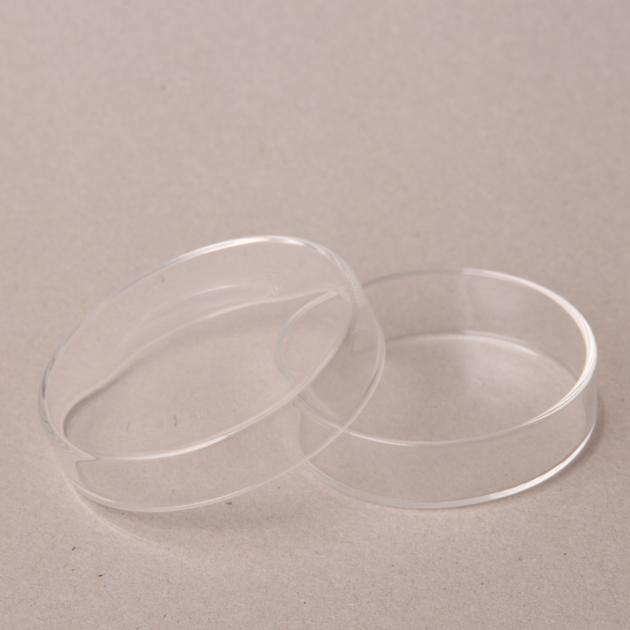 petri dish, glass dishes