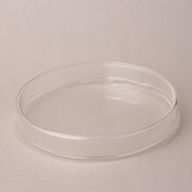 Petri Dish Glass Dishes