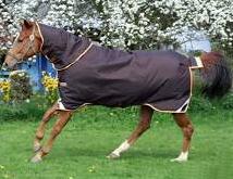 horse rug