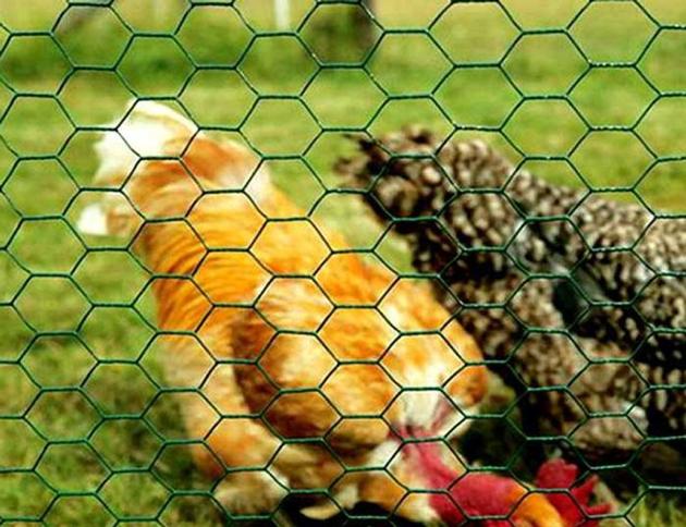 Hexagonal Gabion Box