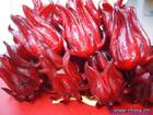 Hibiscus extract