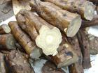 Saw palmetto Extract