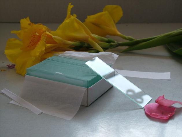 Microscope slides