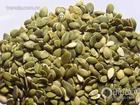 Pumpkin Seed Extract