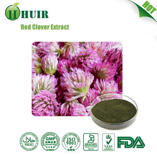 Natural red clover seed | Red Clover P.E. | red clover extract