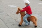 best quality for horse toys