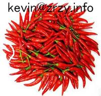chilli, red chilli