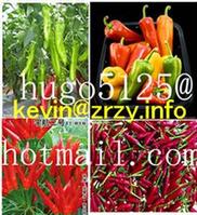 paprika pods, paprika spent