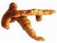 Curcumin Extract