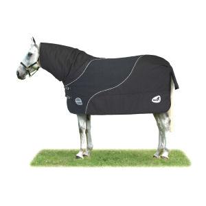 horse blanket