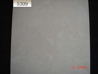 long term supply soluble salt porcelain tiles 5309