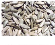 sunflower kernels,pumpkin kernels
