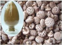 High purity lentinus edodes polysaccharides No dextrin or any other materials added